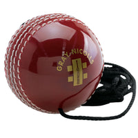 Gray Nicolls Batting Master Ball - Cricket For All