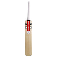 GRAY NICOLLS INDOOR 100 BAT