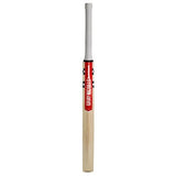 GRAY NICOLLS TECHNIQUE 55 TRAINING BAT