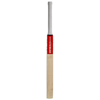 GRAY NICOLLS TECHNIQUE 55 TRAINING BAT