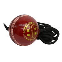 GRAY NICOLLS BATTING MASTER LEATHER BALL