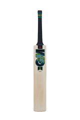 GM AION DXM 808 ENGLISH WILLOW CRICKET BAT - Cricket For All