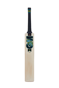 GM AION DXM 808 ENGLISH WILLOW CRICKET BAT - Cricket For All