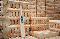 GM Ben Stokes Players Edition - Cricket Bat