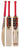 SS GG Smacker Punch - Cricket Bat